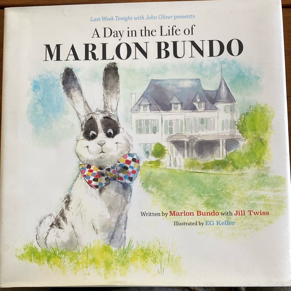 Day in the life of Marlon Bundo book